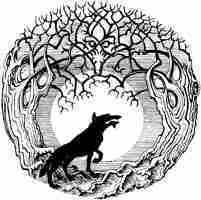 Into the Woods