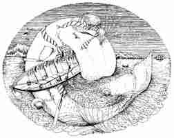 Moby Dick!