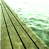 The Memory of Water